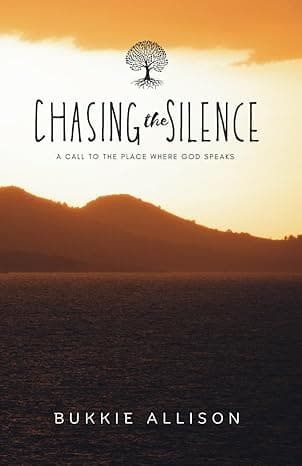 Chasing the Silence