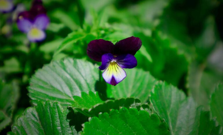 Books, Births, and Breakthroughs: